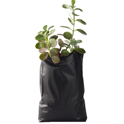 ananta-products-earthen-agri